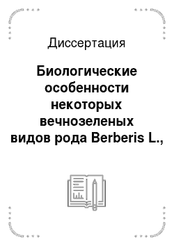 Диссертация: Биологические особенности некоторых вечнозеленых видов рода Berberis L., интродуцированных в Душанбинском ботаническом саду