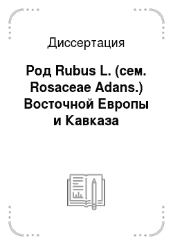Диссертация: Род Rubus L. (сем. Rosaceae Adans.) Восточной Европы и Кавказа