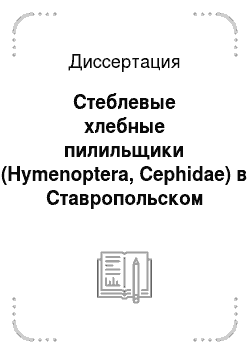 Диссертация: Стеблевые хлебные пилильщики (Hymenoptera, Cephidae) в Ставропольском крае и совершенствование мер защиты от них