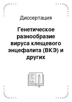 Диссертация: Генетическое разнообразие вируса клещевого энцефалита (ВКЭ) и других инфекционных агентов у иксодовых клещей в городских и пригородных биотопах г. Томска. Секвенирование и молекулярно-биологический анализ генома штамма ВКЭ Глубинное/2004