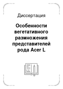 Диссертация: Особенности вегетативного размножения представителей рода Acer L
