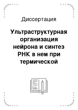 Диссертация: Ультраструктурная организация нейрона и синтез РНК в нем при термической травме (электронно-микроскопическая радиоавтография)