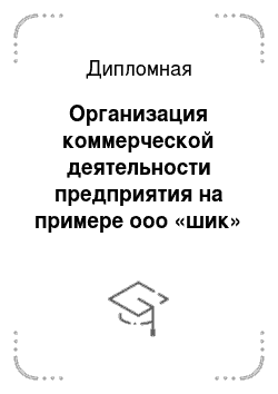Дипломная: Организация коммерческой деятельности предприятия на примере ооо «шик» г. Челябинска