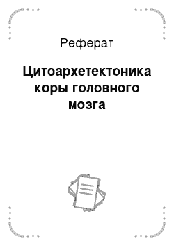 Реферат: Цитоархетектоника коры головного мозга