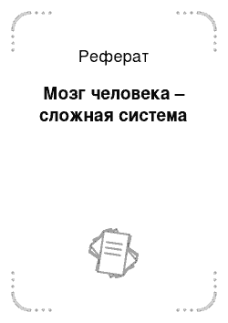 Реферат: Мозг человека – сложная система