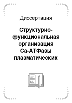 Диссертация: Структурно-функциональная организация Са-АТФазы плазматических мембран человека