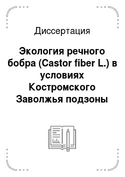 Диссертация: Экология речного бобра (Castor fiber L.) в условиях Костромского Заволжья подзоны южной тайги