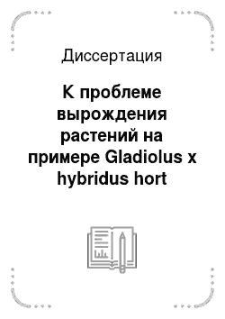 Диссертация: К проблеме вырождения растений на примере Gladiolus x hybridus hort