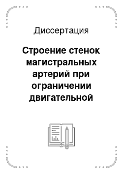 Диссертация: Строение стенок магистральных артерий при ограничении двигательной активности в условиях жаркого климата