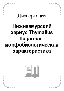 Диссертация: Нижнеамурский хариус Thymallus Tugarinae: морфобиологическая характеристика