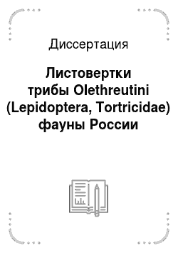 Диссертация: Листовертки трибы Olethreutini (Lepidoptera, Tortricidae) фауны России