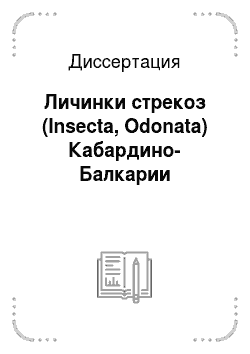 Диссертация: Личинки стрекоз (Insecta, Odonata) Кабардино-Балкарии