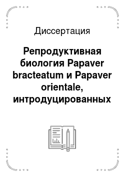 Диссертация: Репродуктивная биология Papaver bracteatum и Papaver orientalе, интродуцированных в Прикамье