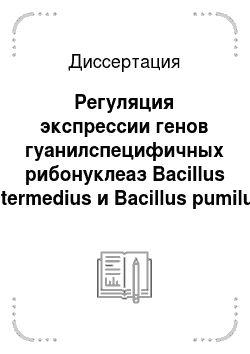 Диссертация: Регуляция экспрессии генов гуанилспецифичных рибонуклеаз Bacillus intermedius и Bacillus pumilus