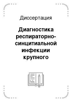 Диссертация: Диагностика респираторно-синцитиальной инфекции крупного рогатого скота и особенности проявления болезни в современных условиях ведения животноводства