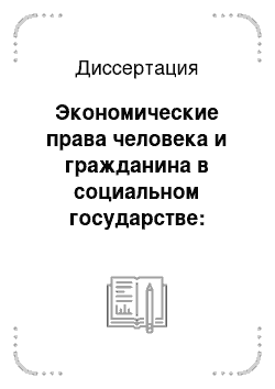 Диссертация: Экономические права человека и гражданина в социальном государстве: современный опыт России