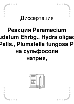 Диссертация: Реакция Paramecium caudatum Ehrbg., Hydra oligactis Palls., Plumatella fungosa P. на сульфосоли натрия, тетрааквапрамолибдат аммония и их сочетания