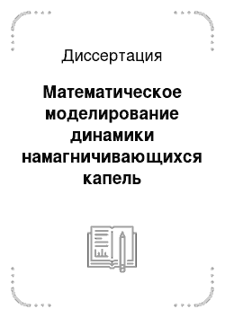 Диссертация: Математическое моделирование динамики намагничивающихся капель