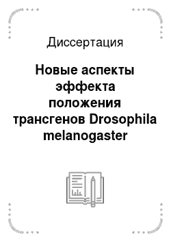 Диссертация: Новые аспекты эффекта положения трансгенов Drosophila melanogaster