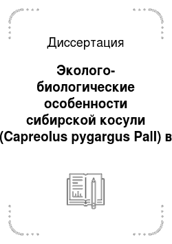 Диссертация: Эколого-биологические особенности сибирской косули (Capreolus pygargus Pall) в Приамурье