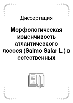 Диссертация: Морфологическая изменчивость атлантического лосося (Salmo Salar L.) в естественных условиях и аквакультуре