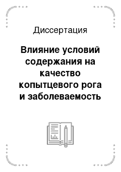 Диссертация: Влияние условий содержания на качество копытцевого рога и заболеваемость копытец у коров в молочных комплексах