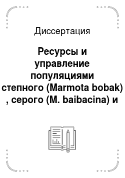 Диссертация: Ресурсы и управление популяциями степного (Marmota bobak) , серого (M. baibacina) и монгольского (M. sibirica) сурков