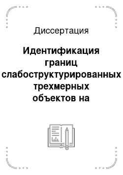 Диссертация: Идентификация границ слабоструктурированных трехмерных объектов на основе методов дискретной оптимизации: на примере геофизических исследований скважин