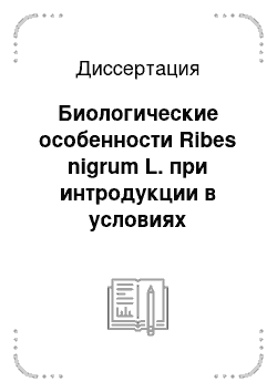 Диссертация: Биологические особенности Ribes nigrum L. при интродукции в условиях Оренбургского Приуралья