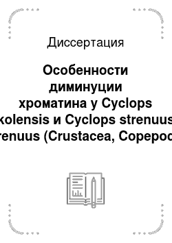 Диссертация: Особенности диминуции хроматина у Cyclops kolensis и Cyclops strenuus strenuus (Crustacea, Copepoda)