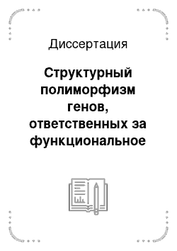 Диссертация: Структурный полиморфизм генов, ответственных за функциональное состояние эндотелия, и его связь с тяжестью поражения коронарных артерий у больных ишемической болезнью сердца