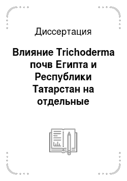 Диссертация: Влияние Trichoderma почв Египта и Республики Татарстан на отдельные параметры живых систем