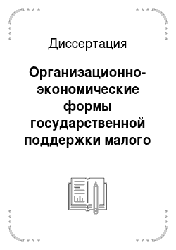 Диссертация: Организационно-экономические формы государственной поддержки малого бизнеса в РФ