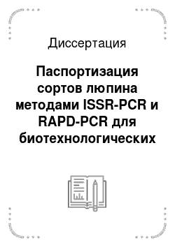 Диссертация: Паспортизация сортов люпина методами ISSR-PCR и RAPD-PCR для биотехнологических исследований