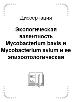 Диссертация: Экологическая валентность Mycobacterium bavis и Mycobacterium avium и ее эпизоотологическая роль