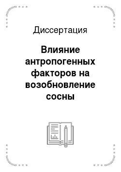 Диссертация: Влияние антропогенных факторов на возобновление сосны обыкновенной в ленточных борах Алтайского края