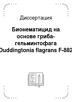 Диссертация: Бионематицид на основе гриба-гельминтофага Duddingtonia flagrans F-882