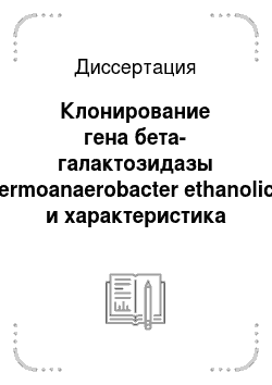 Диссертация: Клонирование гена бета-галактозидазы Thermoanaerobacter ethanolicus и характеристика продукта этого гена