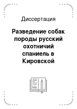 Диссертация: Разведение собак породы русский охотничий спаниель в Кировской области