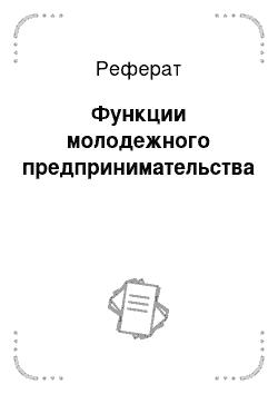 Реферат: Функции молодежного предпринимательства