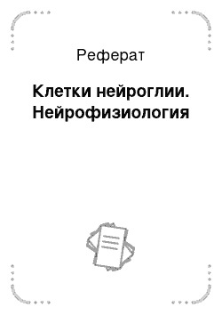 Реферат: Клетки нейроглии. Нейрофизиология