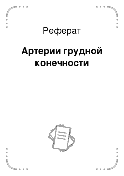 Реферат: Артерии грудной конечности