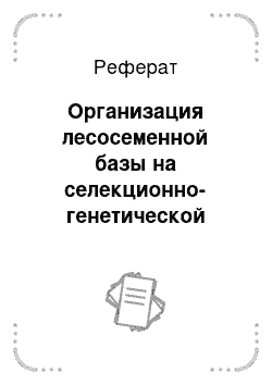 Реферат: Организация лесосеменной базы на селекционно-генетической основе