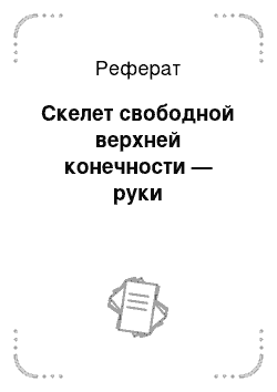 Реферат: Скелет свободной верхней конечности — руки