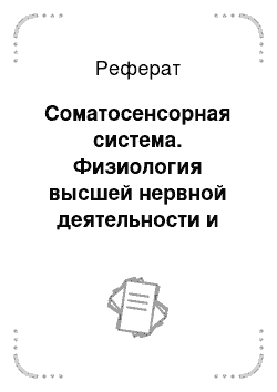 Реферат: Соматосенсорная система. Физиология высшей нервной деятельности и сенсорных систем