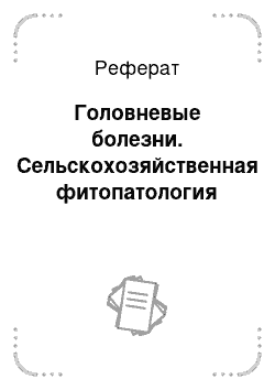 Реферат: Головневые болезни. Сельскохозяйственная фитопатология