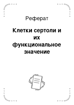 Реферат: Клетки сертоли и их функциональное значение