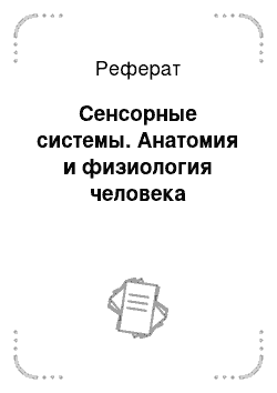 Реферат: Сенсорные системы. Анатомия и физиология человека