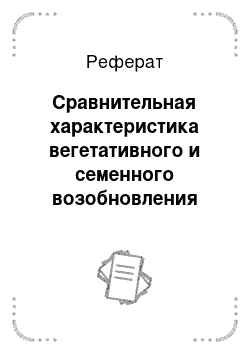 Реферат: Сравнительная характеристика вегетативного и семенного возобновления леса