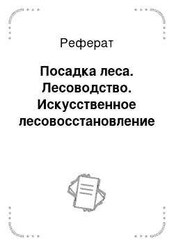 Реферат: Посадка леса. Лесоводство. Искусственное лесовосстановление